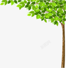 树叶树干素材绿色叶子的小树高清图片