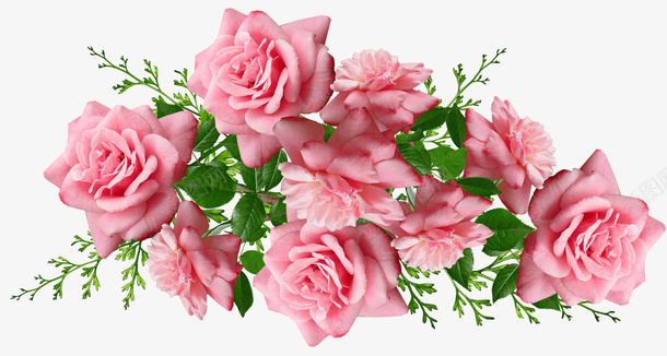 粉红色玫瑰psd免抠素材_新图网 https://ixintu.com 植物 玫瑰 粉红色 鲜花