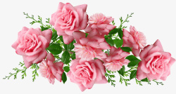 粉红色鲜花束粉红色玫瑰高清图片