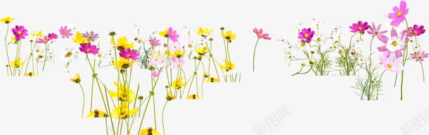唯美花朵现代风景海报png免抠素材_新图网 https://ixintu.com 海报 现代 花朵 风景