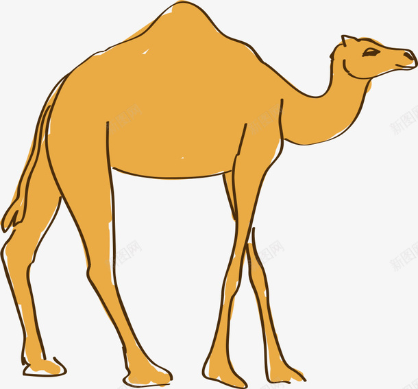 手绘卡通骆驼png免抠素材_新图网 https://ixintu.com 动物 卡通动物 卡通骆驼 手绘骆驼 骆驼