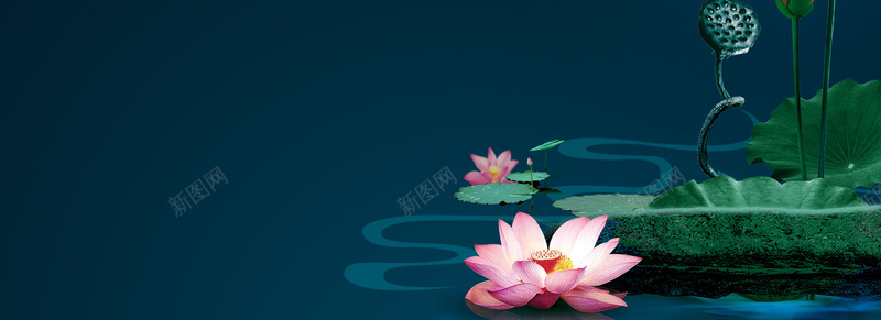 高雅水墨荷花背景图片免费下载 素材m Qgqsrzgrt 新图网 高雅水墨荷花背景图片免费下载 素材m Qgqsrzgrt 新图网
