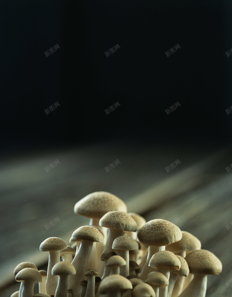 时鲜蔬果蘑菇背景素材jpg设计背景_新图网 https://ixintu.com 时鲜 蘑菇 食材 PPT