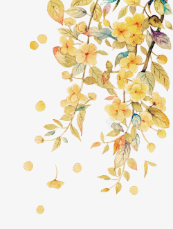 树枝树枝手绘花枝装饰元素图高清图片