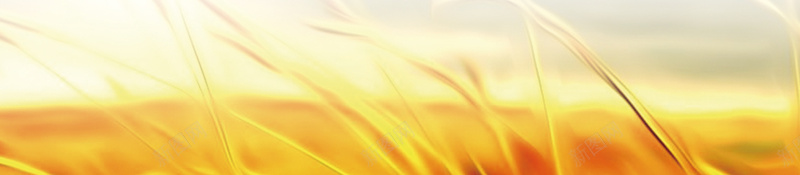 金色秋日平面广告背景jpg设计背景_新图网 https://ixintu.com 收获 枫叶 秋日 金色 田 秋天平面 秋季广告背景 秋季促销 金色背景