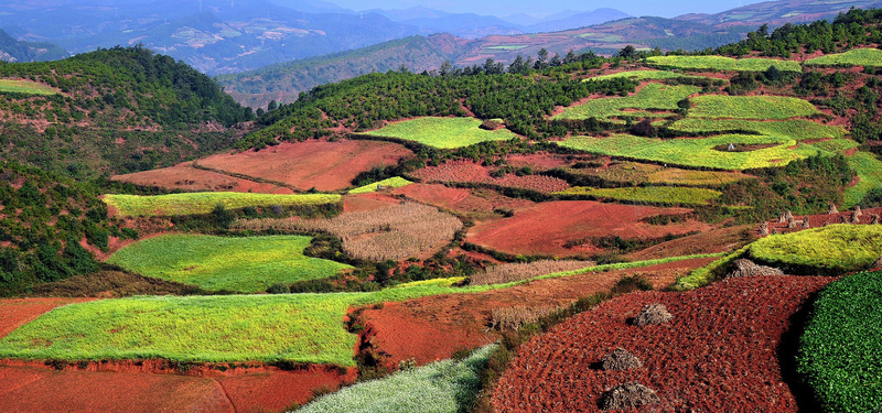 艳丽梯田自然风景bannerjpg设计背景_新图网 https://ixintu.com 艳丽 梯田 自然 风景 唯美 海报banner 摄影