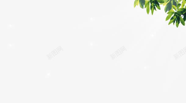绿色树枝枝叶海报边框装饰png免抠素材_新图网 https://ixintu.com 枝叶 树枝 海报 绿色 装饰 边框