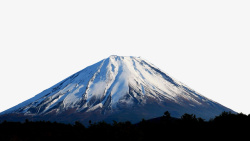 美丽山茶富士山景点火山高清图片