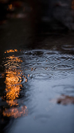 雨水涟漪雨滴H5背景素材高清图片