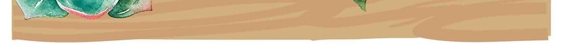 韩式小清新多肉植物路牌黑板海报背景psd设计背景_新图网 https://ixintu.com 多肉植物 多肉植物海报 小清新 植物海报 海报 清新植物 肉肉海报 背景 路牌 韩式 黑板