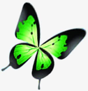 创意合成飞舞的绿色的花蝴蝶png免抠素材_新图网 https://ixintu.com 创意 合成 绿色 蝴蝶 飞舞
