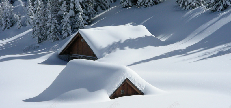 雪后风景jpg设计背景_新图网 https://ixintu.com 雪树 雪屋 松树 大气 摄影雪景 被雪覆盖的树 海报banner 摄影 风景