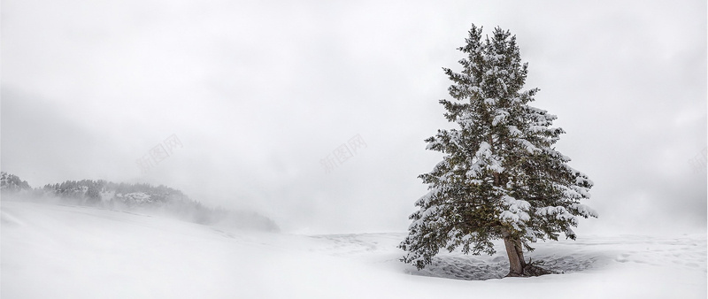 风景雪山松树背景背景