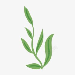 绿色的树苗素材