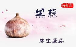 养生圣品蒜头高清图片