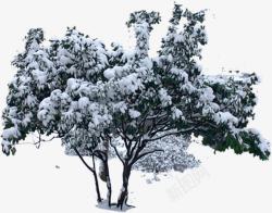 冬日创意树木景观素材