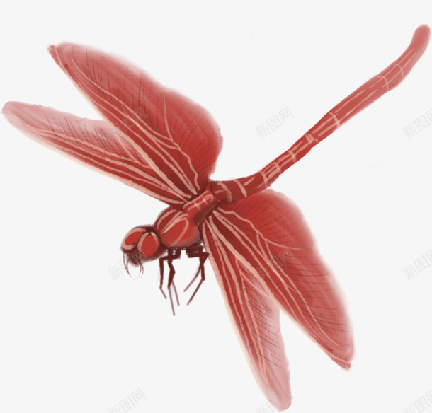 红色蜻蜓水墨风png免抠素材_新图网 https://ixintu.com 动物 红色 翅膀 蜻蜓