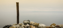 木桩摄影宁静湖面背景高清图片