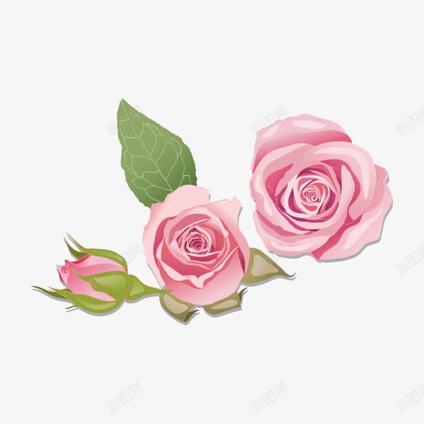 手绘粉色玫瑰花图案png免抠素材_新图网 https://ixintu.com 手绘 玫瑰花图案 粉色