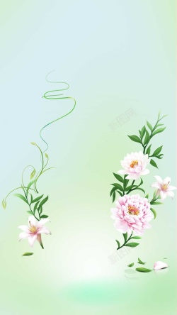面膜活动小清新商业花卉活动折扣H5背景高清图片