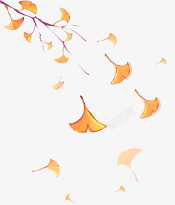 银杏树落叶秋天素材