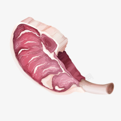 红色生肉食材腿肉矢量图素材