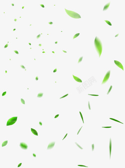 飞舞的绿色叶子素材