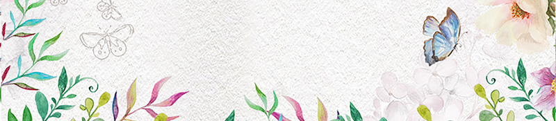 白色手绘春季上新花卉女装背景jpg设计背景_新图网 https://ixintu.com 春季上新 手绘 白色 花卉 边 花朵 清新 文艺 女装背景