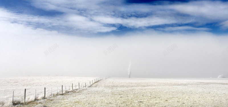 草地冬季淘宝海报背景bannerjpg设计背景_新图网 https://ixintu.com 草地 冬季 雪 树 海报banner 摄影 风景