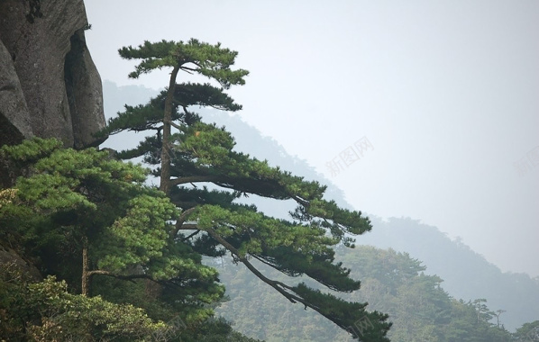 明塘山片欢迎背景