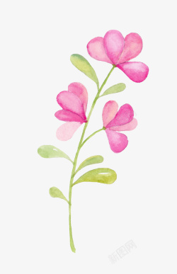 手绘水彩粉嫩花卉绿色叶子素材
