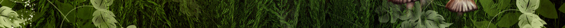 森林童话海报背景jpg设计背景_新图网 https://ixintu.com 树叶 梦幻 森林 浪漫 湖水 灯柱 童话