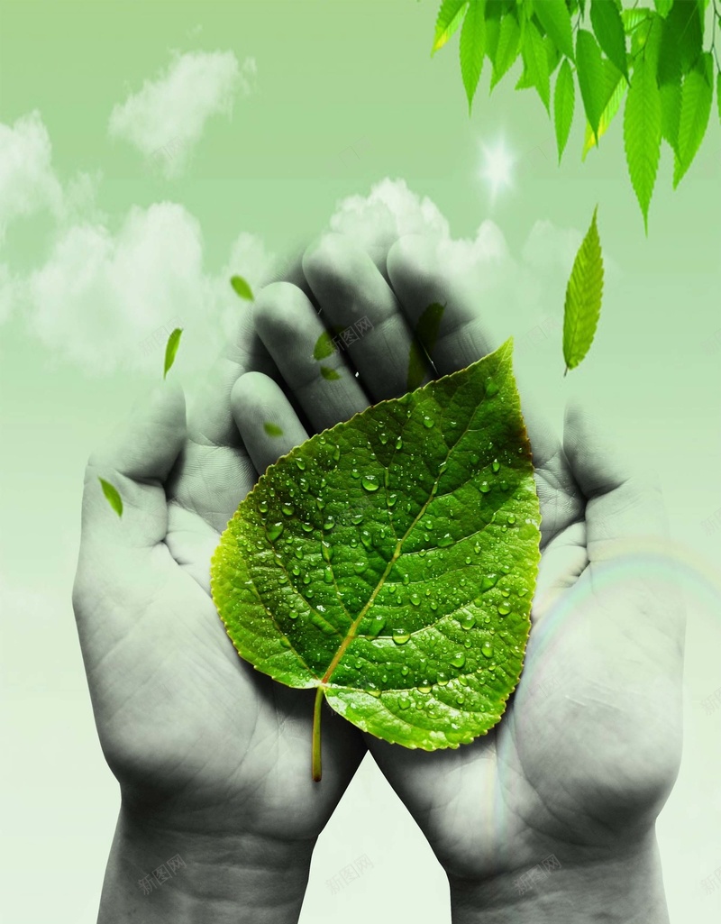 环境保护绿色海报背景psd设计背景_新图网 https://ixintu.com 保护 双手 环境 珍惜 绿色 资源 绿叶 海报 背景