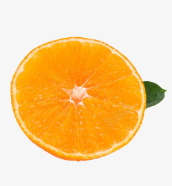 扁平化水果橙子红美人橘子高清图片