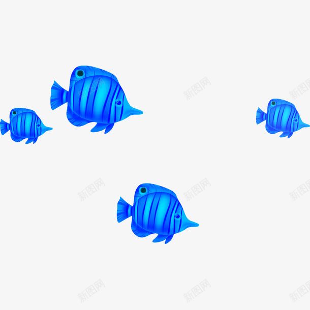 渐变蓝色海鱼png免抠素材_新图网 https://ixintu.com 海洋 海鱼 渐变的鱼 蓝色