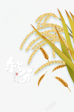 秋天秋分麦子稻子素材
