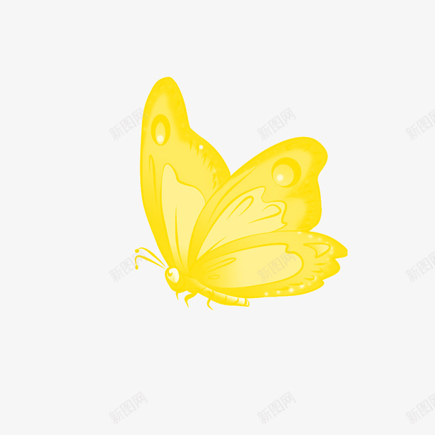 漂亮的黄色蝴蝶png免抠素材_新图网 https://ixintu.com 漂亮的 点缀 蝴蝶 黄色 黄蝶