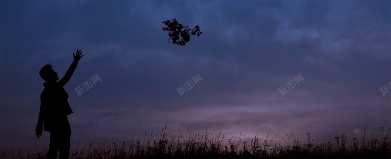 夜晚渐变蓝紫色剪影背景背景