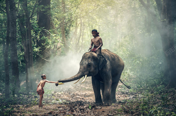 大象与小孩png免抠素材_新图网 https://ixintu.com 大象 小孩 森林 背景