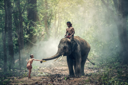 大象与小孩素材