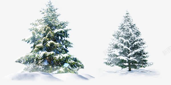 冬季雪景绿色树木png免抠素材_新图网 https://ixintu.com 冬季 树木 绿色 雪景