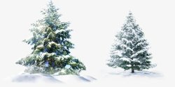冬季雪景绿色树木素材