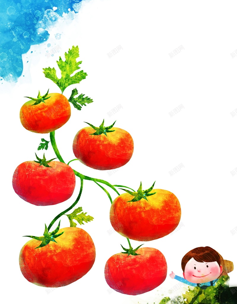 手绘番茄背景模板psd设计背景_新图网 https://ixintu.com 西红柿 手绘 海报 番茄 蔬菜 背景