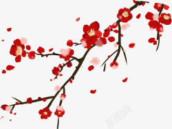 一直红梅出墙来素材