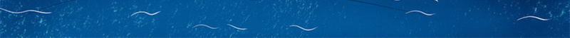 清凉夏季海报jpg设计背景_新图网 https://ixintu.com 卡通 夏季 文艺 海洋 清凉 清新 航帆 航海 蓝色 西瓜 颜色