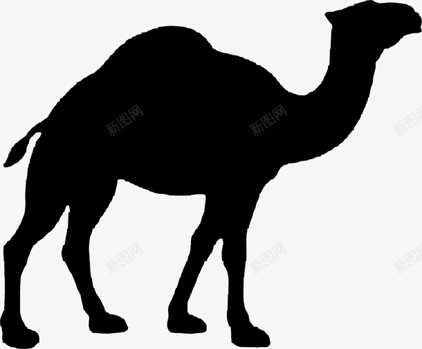 黑色骆驼png免抠素材_新图网 https://ixintu.com 动物 干旱 沙漠 骆驼