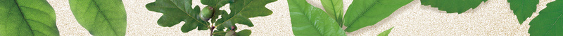 绿色简约时尚海报背景图psd设计背景_新图网 https://ixintu.com 商业 小清新 文艺 服装 海报 清新 简约 绿色