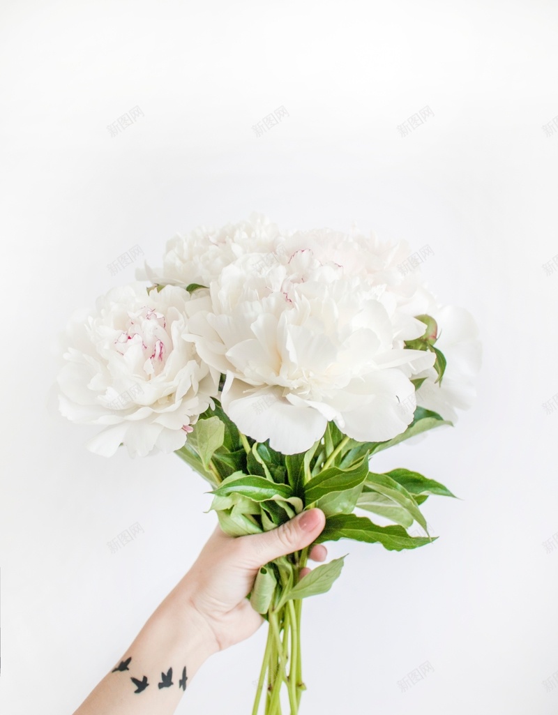 一束白色的花jpg设计背景_新图网 https://ixintu.com 手持 白色 背景 花朵