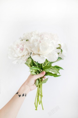 手持花朵一束白色的花高清图片