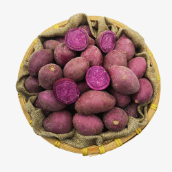 紫皮小番薯粗粮紫薯紫薯小紫薯高清图片